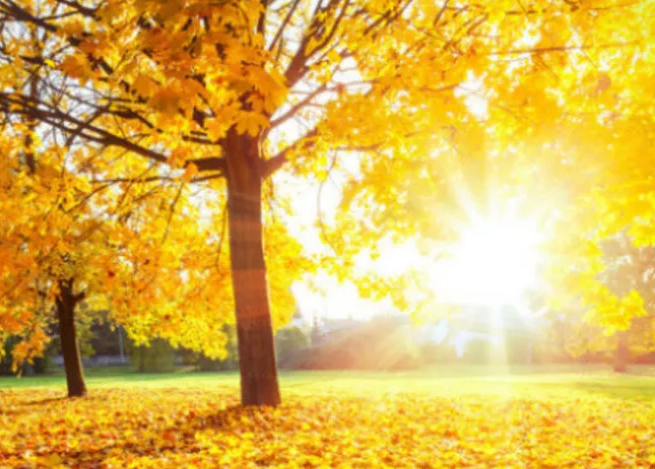 2019秋老虎有多少天 秋老虎期間如何養生