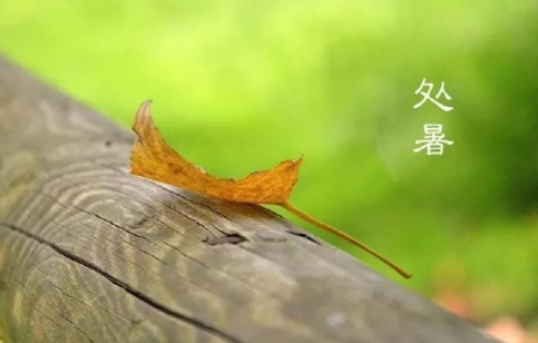 2019今日處暑配圖句子說(shuō)說(shuō)朋友圈 今日處暑節(jié)氣心情說(shuō)說(shuō)短語(yǔ)