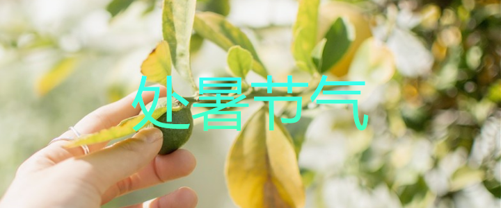 2019今日處暑配圖句子說說朋友圈 今日處暑節(jié)氣心情說說短語