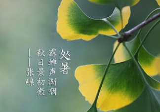 2019今日處暑配圖句子說說朋友圈 今日處暑節(jié)氣心情說說短語(yǔ)