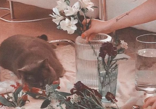 那些甜到炸情話句子大全 甜美情話朋友圈說說