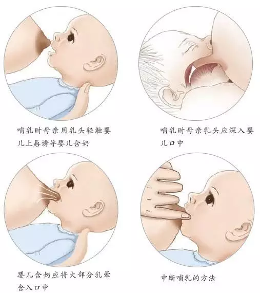 新生兒寶寶溢奶和吐奶有什么不同 寶寶溢奶怎么辦好