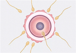 無精癥是先天性還是后天的 無精癥會遺傳嗎