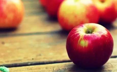 處暑過后吃什么水果好 處暑后養生水果推薦 處暑過后吃什么水果好 處暑后養生水果推薦