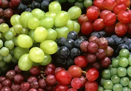 處暑過后吃什么水果好 處暑后養生水果推薦 處暑過后吃什么水果好 處暑后養生水果推薦