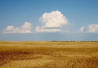 九月你好朋友圈說說 九月你好正能量勵志語錄