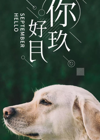 8月再見9月你好朋友圈說說句子2019 2019九月你好的優美句子圖片