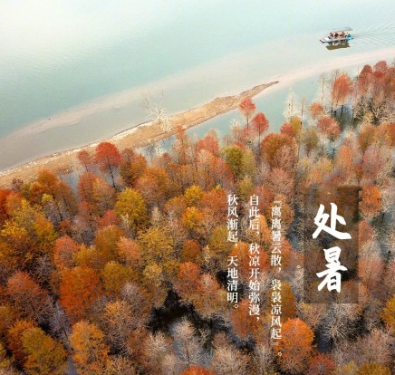 今日處暑一句話早安心語 今日處暑朋友圈早安語錄 今日處暑一句話早安心語 今日處暑朋友圈早安語錄