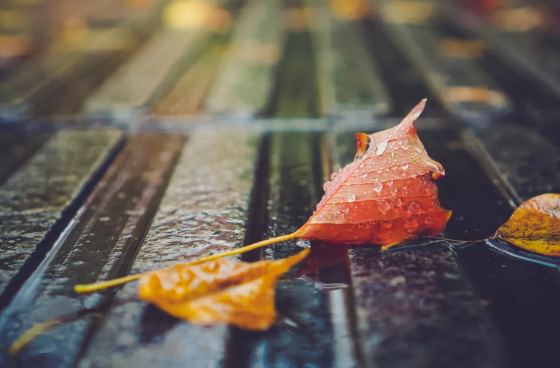 處暑傳統(tǒng)習(xí)俗大全2019 處暑節(jié)氣風(fēng)俗介紹 處暑傳統(tǒng)習(xí)俗大全2019 處暑節(jié)氣風(fēng)俗介紹