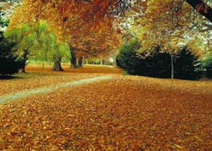 秋來(lái)了天氣涼涼的朋友圈說(shuō)說(shuō) 形容秋天天氣變涼的句子