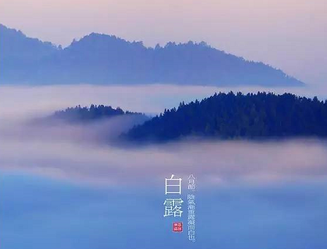 形容白露的詩句大全2019  關于白露的詩句有哪些