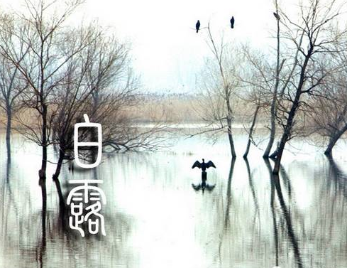 形容白露的詩句大全2019  關于白露的詩句有哪些