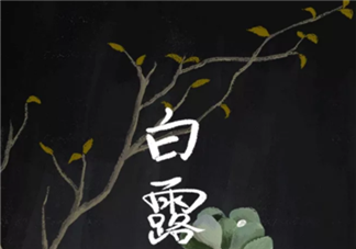 白露吃什么傳統食物 白露節氣適合吃什么食物