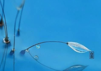 白露節氣的含義是什么 2019白露節氣要注意什么