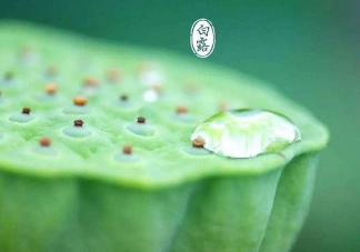 2019白露節氣祝福語圖片 白露祝福語問候大全