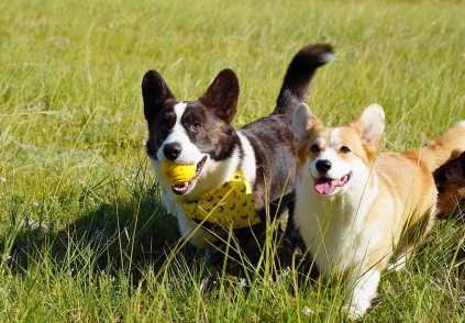 當(dāng)代女生五大快樂源泉是什么 2019女生五大快樂源泉