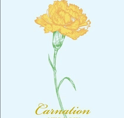 生日和教師節(jié)同一天的說(shuō)說(shuō) 生日遇上教師節(jié)的祝福語(yǔ)