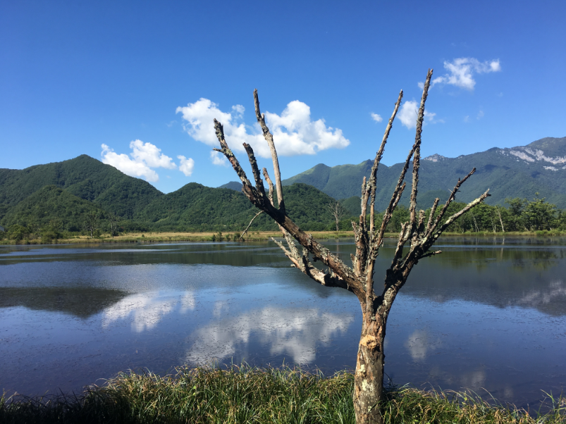 暑假總結(jié)收獲與感悟 關(guān)于暑假的總結(jié)怎么寫