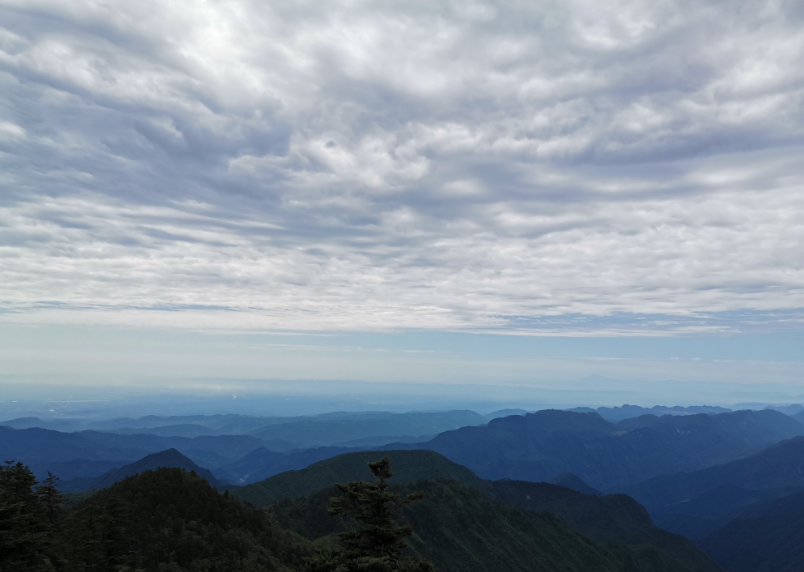 暑假假期生活總結(jié) 高中大學暑假生活總結(jié)記錄