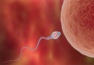 女性備孕成功后身體會有哪些變化 女性如何感覺到自己是不是懷孕了