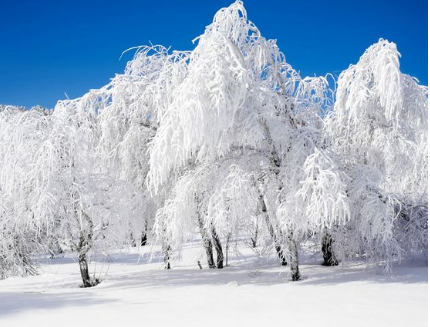 2019最新白露祝福語精選大全 白露祝福朋友短信微信