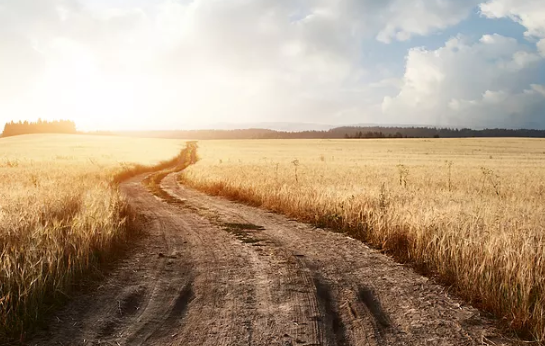 描寫秋天的詩句有哪些 秋天唯美詩句大全 描寫秋天的詩句有哪些 秋天唯美詩句大全