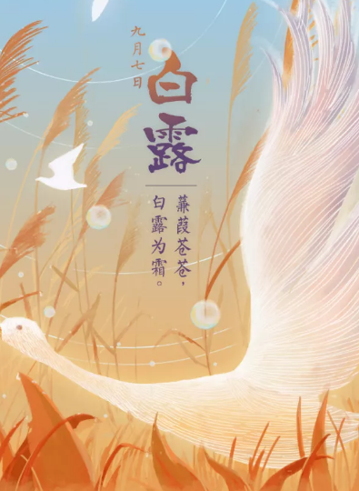2019白露節氣文案怎么寫 白露品牌文案海報賞析