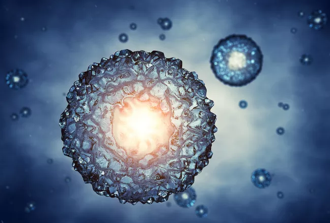 試管嬰兒胚胎什么等級最好 胚胎的培育過程是怎樣