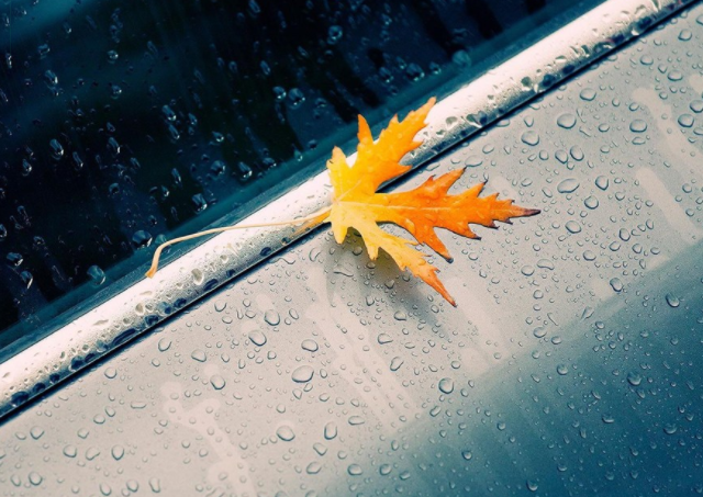 秋雨綿綿的唯美說說心情句子 秋雨綿綿唯美句子帶圖說說