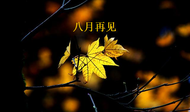 八月再見文藝散文短句 關于八月再見的朋友圈文藝句子