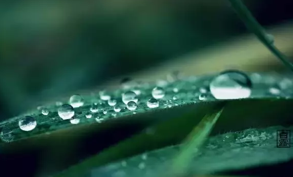 白露后天氣還熱嗎2019 白露后秋老虎還在嗎