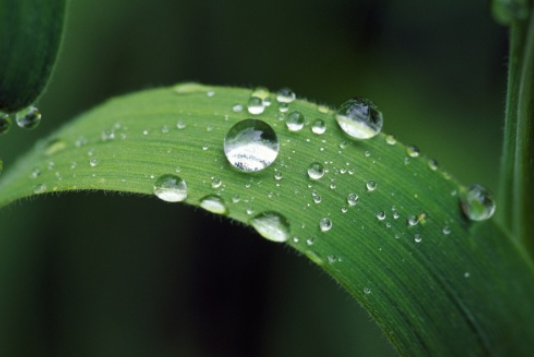 白露后天氣還熱嗎2019 白露后秋老虎還在嗎