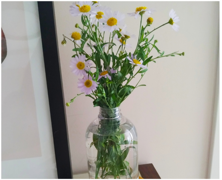 秋天真好心情感慨 贊美秋天的句子說說