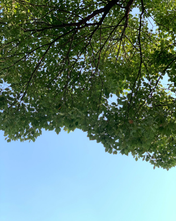 秋天真好的優美句子段落 秋天真好相關的心情說說