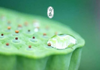 2019白露唯美精選祝福語 白露節氣朋友圈配圖文字