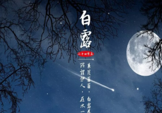 關于白露的古詩句有哪些 描寫白露的古詩詞大全