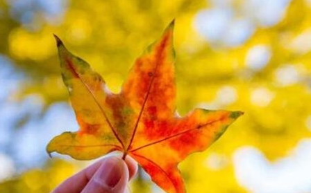 九月第一天加油說說 九月第一天加油的句子