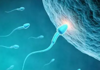 成年人長(zhǎng)期沒(méi)有性生活會(huì)有什么影響 長(zhǎng)期禁欲的危害是什么