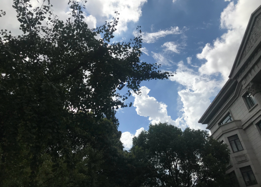 八月朋友圈桂花的說說 有關桂花的說說朋友圈