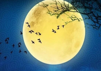 又到一年中秋節(jié)朋友圈說(shuō)說(shuō) 轉(zhuǎn)眼又是中秋了心情感言