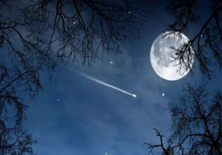 一個(gè)人過(guò)中秋節(jié)傷感說(shuō)說(shuō) 一個(gè)人過(guò)中秋落寞心情句子