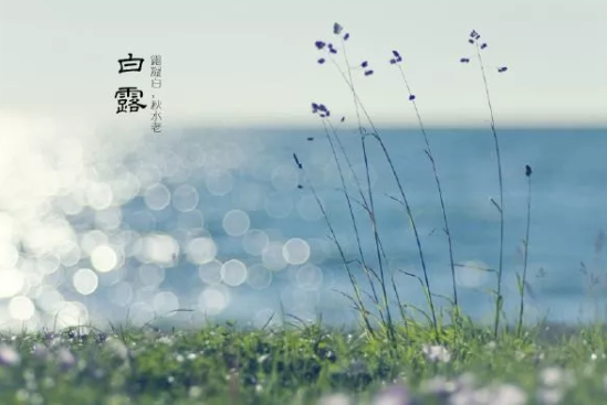 白露后吃什么養(yǎng)生竅門 白露后的養(yǎng)生方法