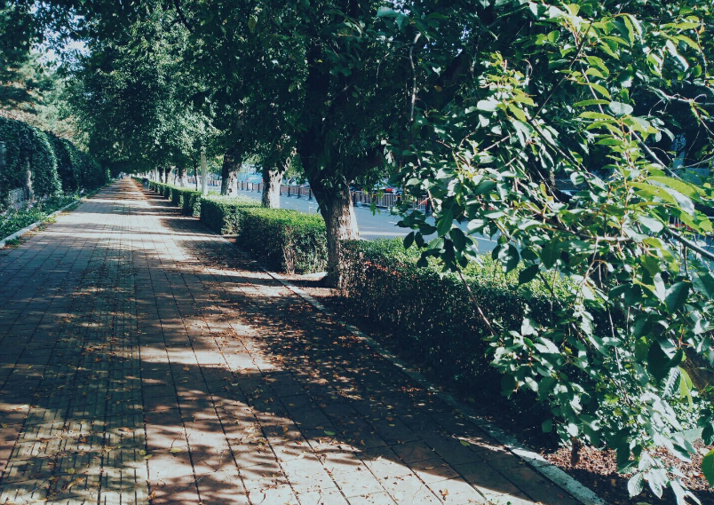 中秋節吃月餅說說 中秋節吃月餅句子心情 中秋節吃月餅說說 中秋節吃月餅句子心情