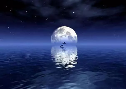 中秋節到了的心情說說 中秋節到了唯美句子感言 中秋節到了的心情說說 中秋節到了唯美句子感言