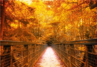 秋季備孕有什么好處 秋季為什么適合備孕