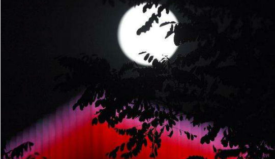 2019中秋節優美古詩詞大全 描寫中秋節的古詩有哪些