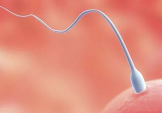 男人精液多好還是少好 男人精液少會影響生育嗎