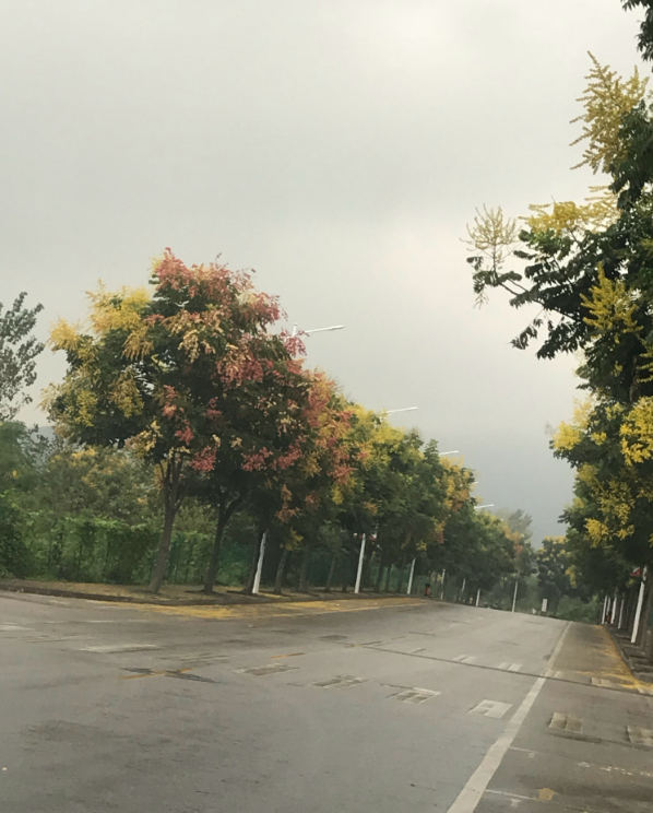 早安下雨天說說句子 下雨了早安說說朋友圈 早安下雨天說說句子 下雨了早安說說朋友圈