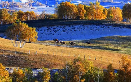天氣變涼的朋友圈說說 天氣變涼的關心句子