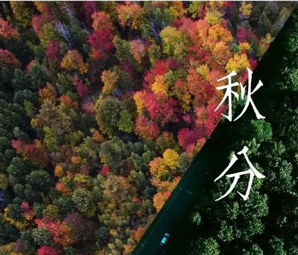 2019秋分節(jié)氣含義是什么 秋分分的是什么 2019秋分節(jié)氣含義是什么 秋分分的是什么